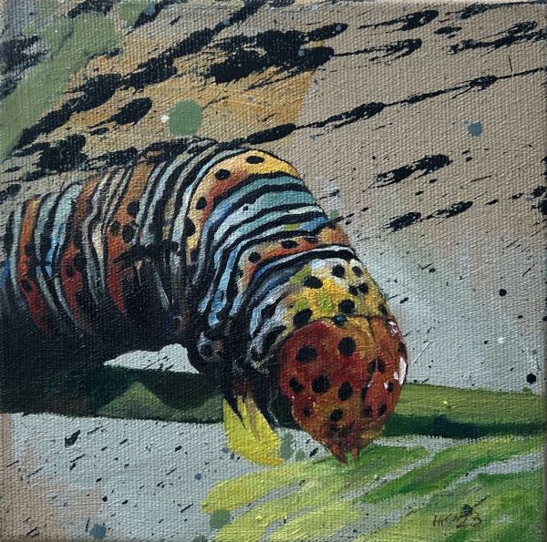 Untitled, 2023, Oil on canvas, 15 x 15 cm.