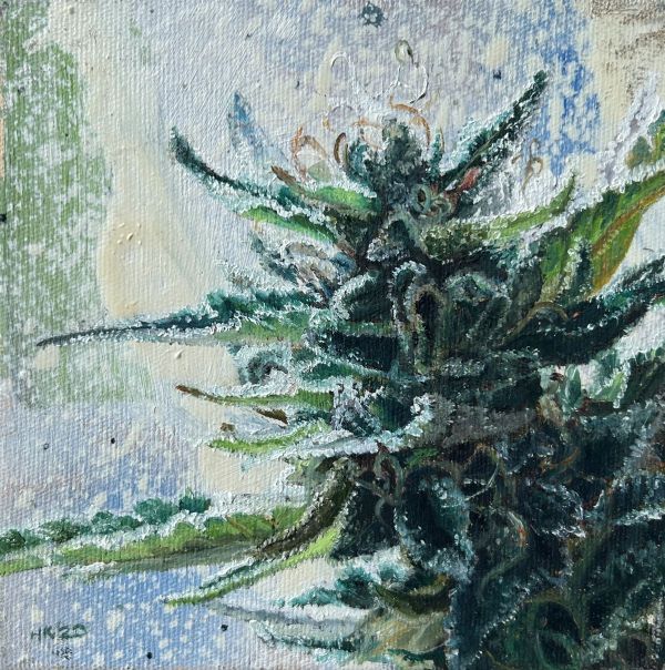 Untitled, 2020, Oil on canvas, 15 x 15 cm.