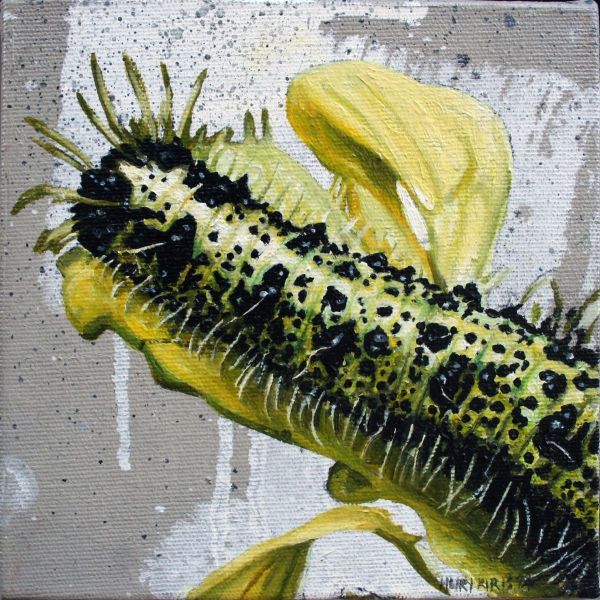 Untitled, 2014, Oil on canvas, 15 x 15 cm.