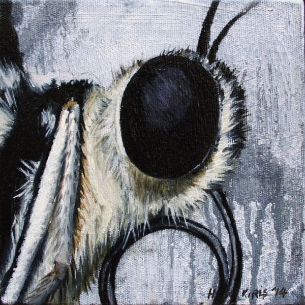 Untitled, 2014, Oil on canvas, 15 x 15 cm.