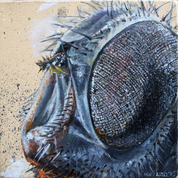 Untitled, 2015, Oil on canvas, 15 x 15 cm.