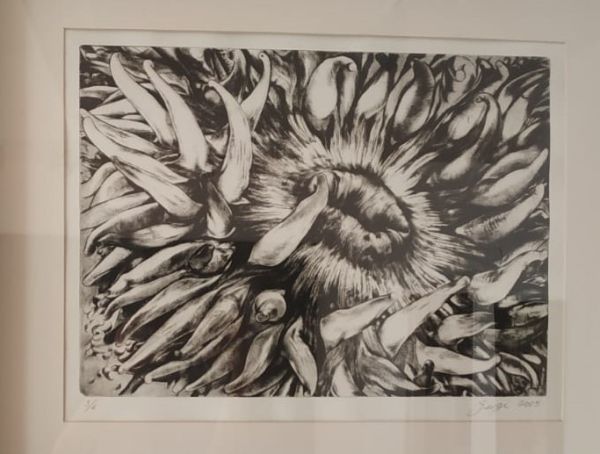 Untitled, 2005, Engraving, 39 x 50 cm.