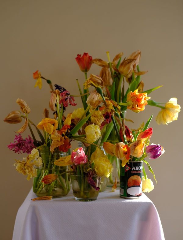 No.7, 2025, Fine art pigment print, 65x85 cm