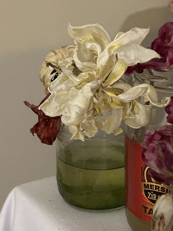 No.8, 2025, Fine art pigment print, 22.5x30 cm