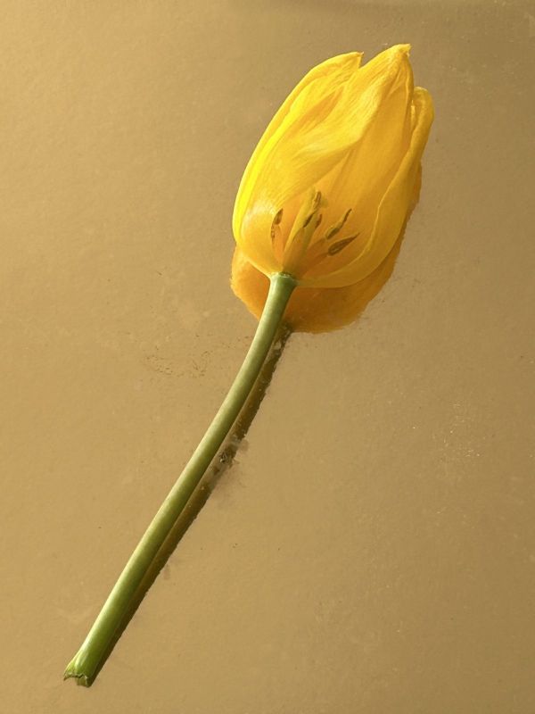 No.9, 2025, Fine art pigment print, 22.5x30 cm