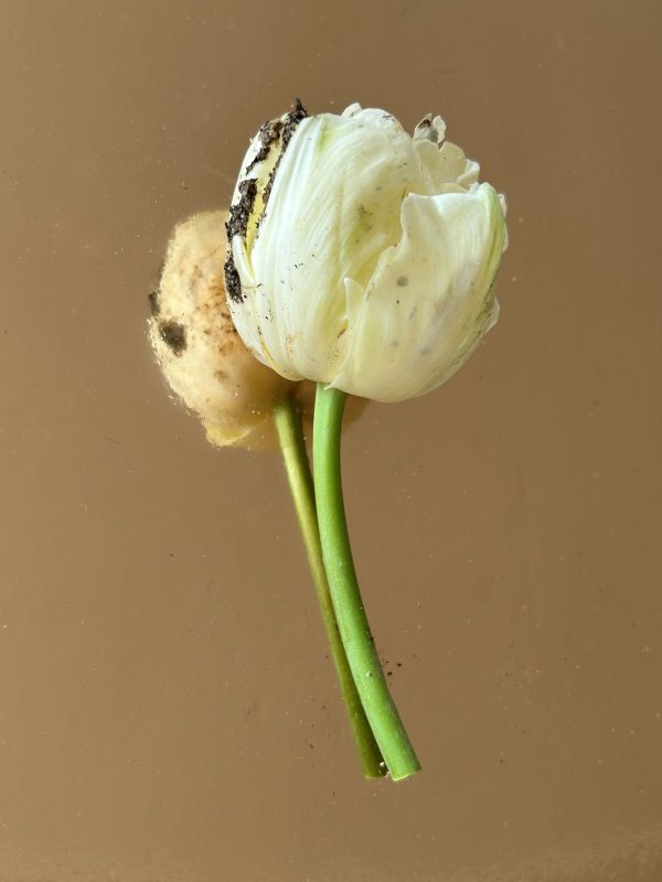 No.10, 2025, Fine art pigment print, 22.5x30 cm