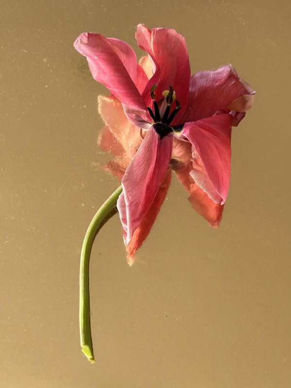 No.13, 2025, Fine art pigment print, 22.5x30 cm