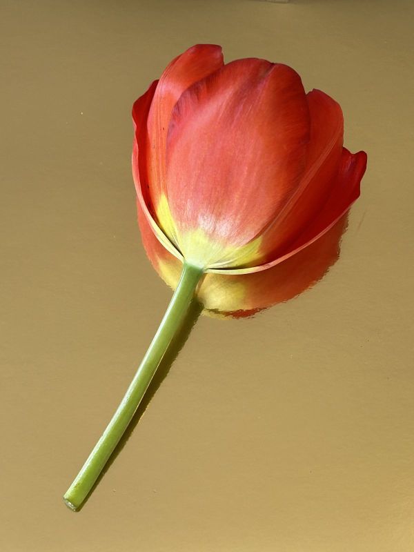 No.14, 2025, Fine art pigment print, 22.5x30 cm