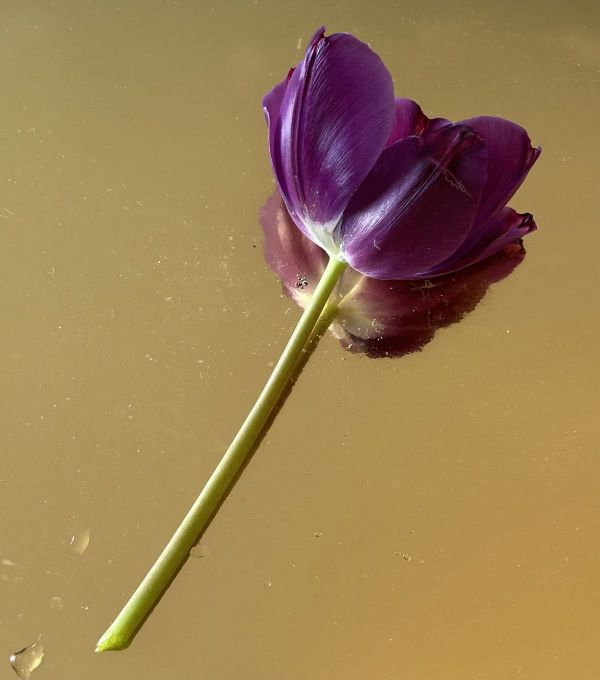 No.22, 2025, Fine art pigment print, 12.7x17 cm