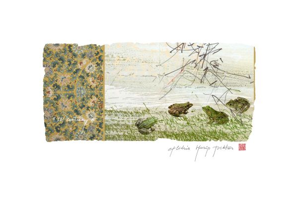 EX LIBRIS HASIP PEKTAS, 2018, CGD, 146 x 82