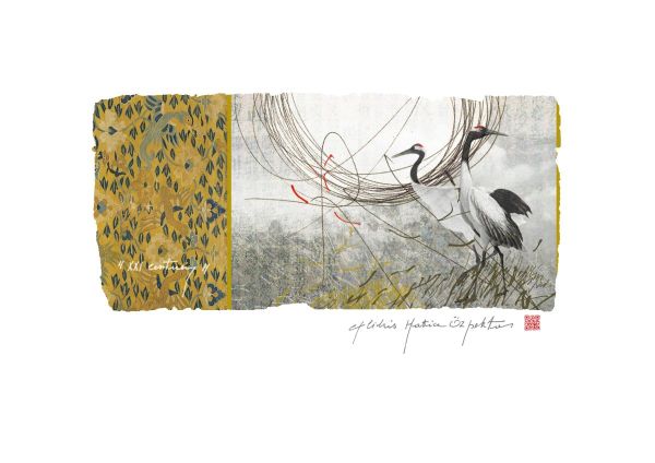 EX LIBRIS HATICE OZ PEKTAS, 2018, CGD, 146 x 80