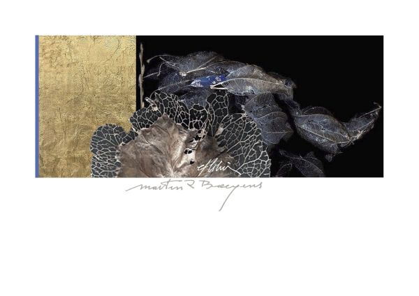 EX LIBRIS MARTIN R. BAEYENS, 2023, CGD, 85 x 170