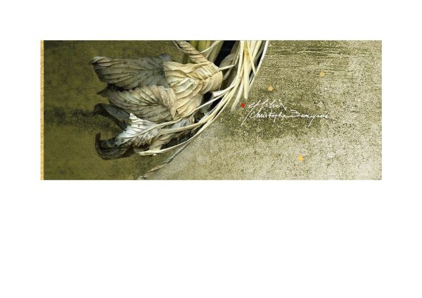 EX LIBRIS CHRISTOPHE BAEYENS, 2023, CGD, 68 x 165