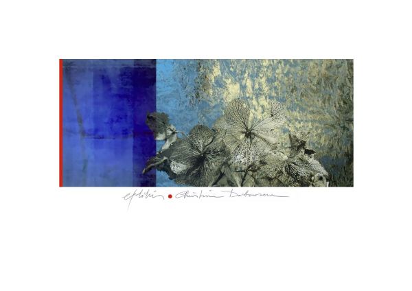 EX LIBRIS CHRISTINE DEBOOSERE, 2024, CGD, 74 x 146