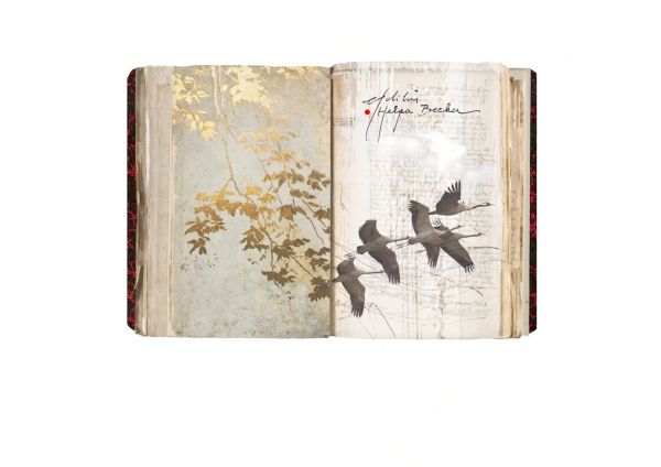 EX LIBRIS HELGA BECKER, 2024, CGD, 75 x 146