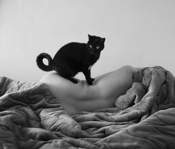 “I, The Cat” series, Black, 2025, Fine art inkjet print, 85 x 74 cm.