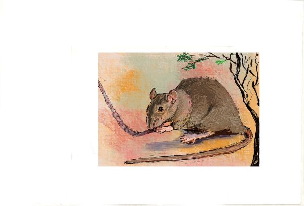 Untitled, 2024, Digital Fine Art, 38 x 56 cm.