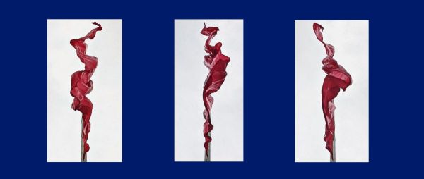 B.Y.R.K., 2026, Diasec Print , Ed. 1/7, 40 x 84 cm.