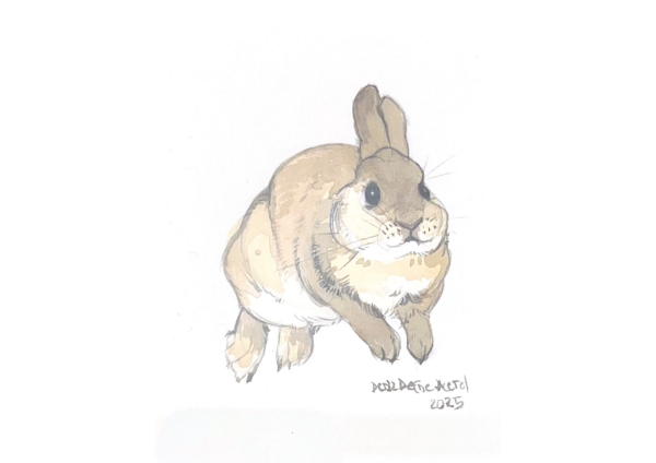 Bunny, 2025, Watercolor on paper, 16.5 x 7.5 cm