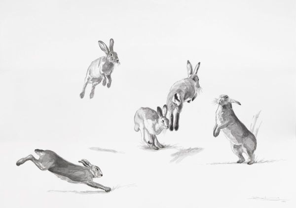 Jumpers - I, 2025, Ink on paper, 70 x 100 cm.