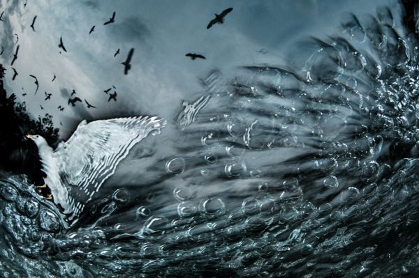 Van, 2020, Unique Archival Pigment Print, 75 x 110 cm