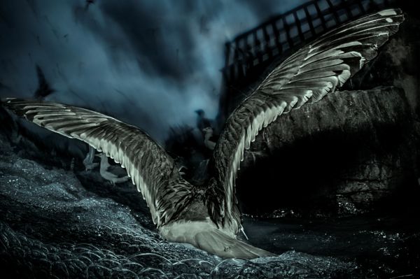 Van, 2020, Unique Archival Pigment Print, 75 x 110 cm