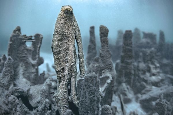 Van, 2020, Unique Archival Pigment Print, 75 x 110 cm