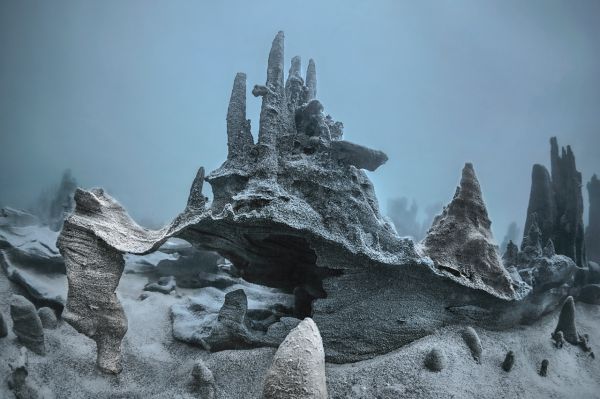 Van, 2021, Unique Archival Pigment Print, 75 x 110 cm