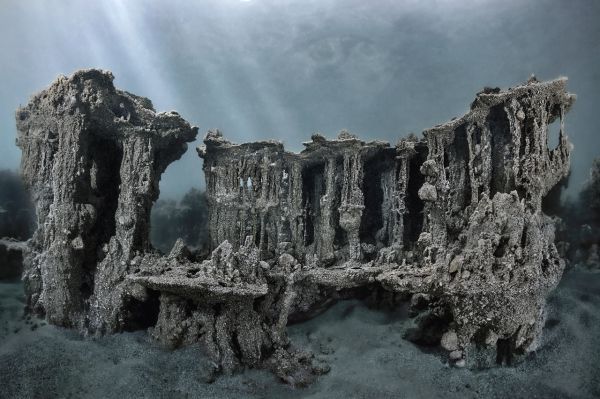 Van, 2018, Unique Archival Pigment Print, 147 x 219