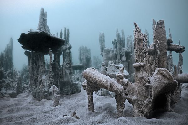 Van, 2020, Unique Archival Pigment Print, 75 x 110 cm