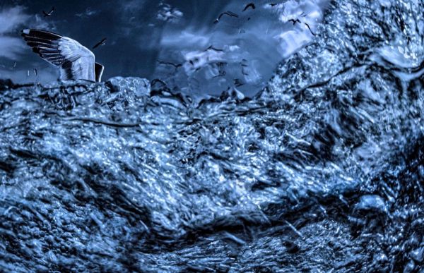 "Van 2021", 2021, Unique Archival Pigment Print, 69x104 cm, 69 x 104 cm.