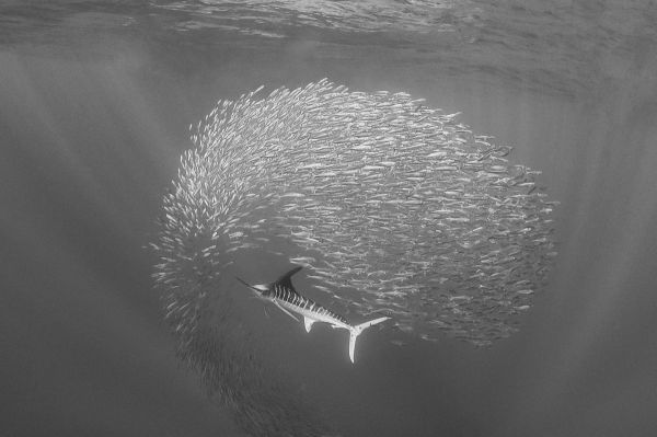 Magdalena 1, 2025, Hahnemühle Fine Art Baskı, 60 x 80 cm.