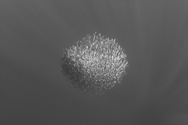 Magdalena 2, 2025, Hahnemühle Fine Art Baskı, 60 x 80 cm.