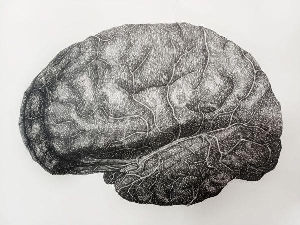 Fragment 11, 2025, Graphite application on paper, 56 x 64 cm.