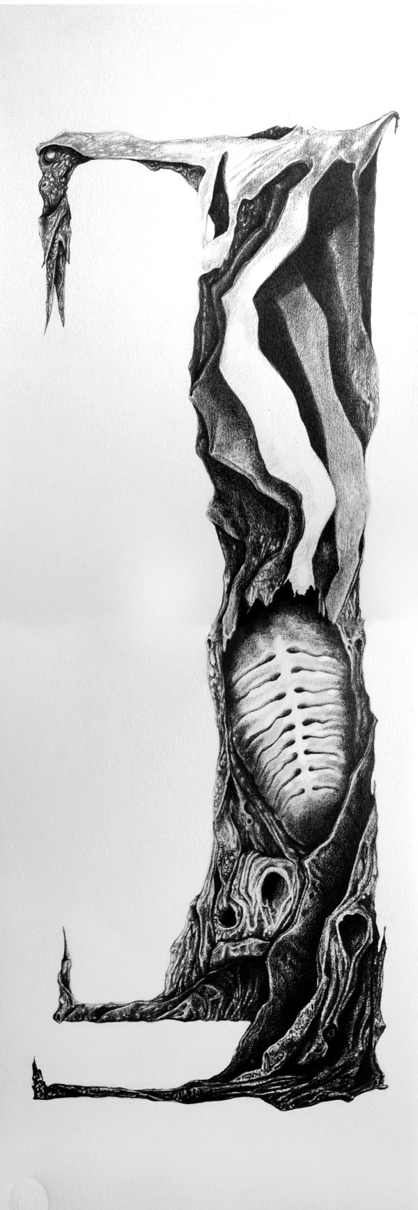 Fragment 5, 2022, Graphite on acid-free paper, 73 x 35,5 cm.