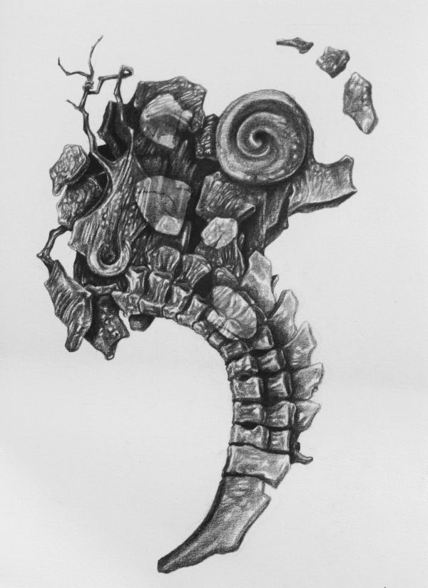 Fragment 6, 2022, Graphite on acid-free paper, 41.5 x 34 cm