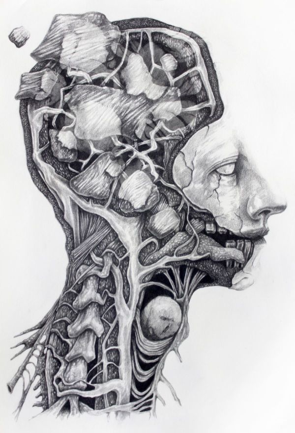 Fragment 9, 2024, Graphite on acid-free paper, 44 x 38 cm.